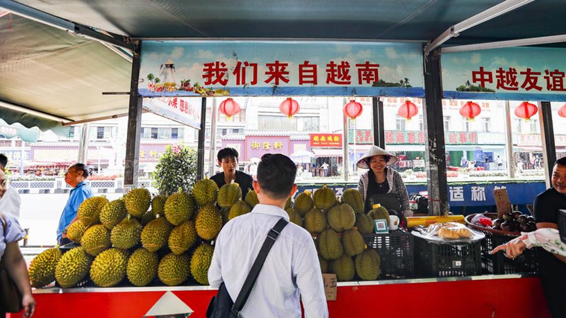 参考这些成